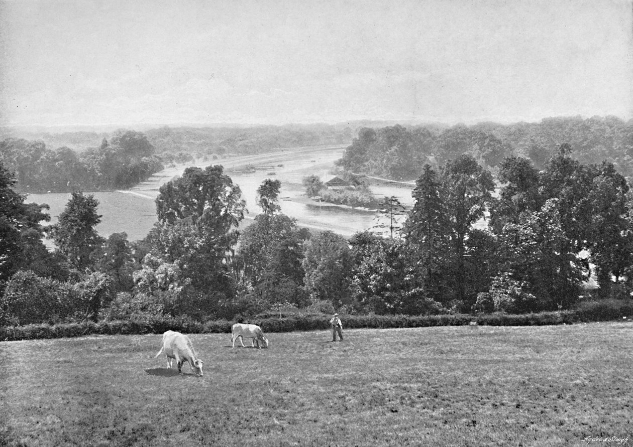 Fra Richmond Hill, Surrey, c1896 af York and Son