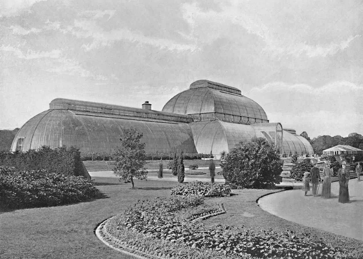 The Great Palm House, Kew Gardens, c1896 af York and Son