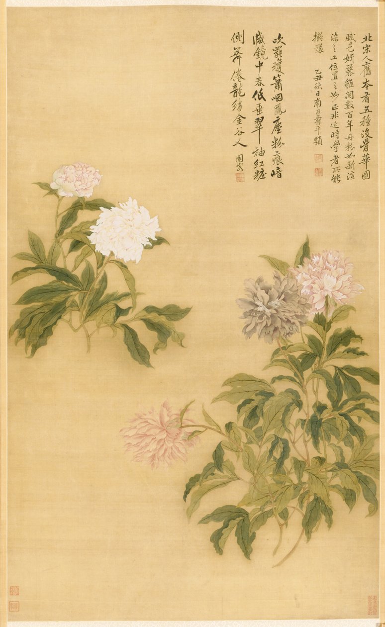 Pæoner af Shouping Yun