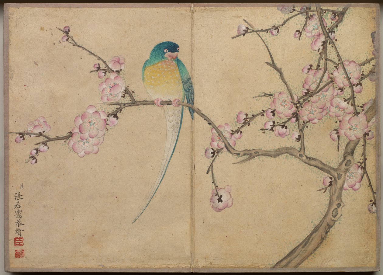 Skrivebordsalbum: Blomster- og fuglemalerier (fugl med blommeblomster) af Zhang Ruoai