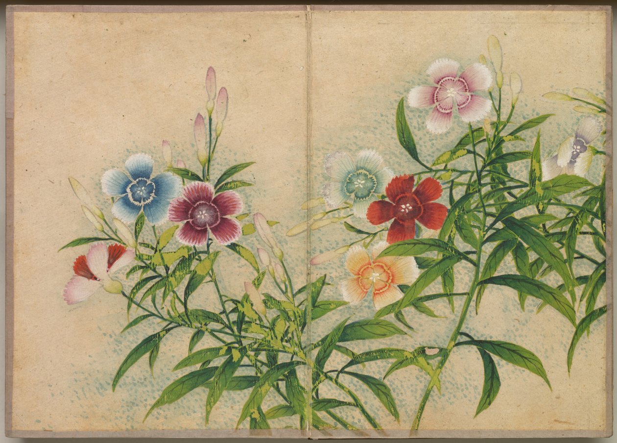 Desk Album: Flower and Bird Paintings Pinks, 1700-tallet. af Zhang Ruoai