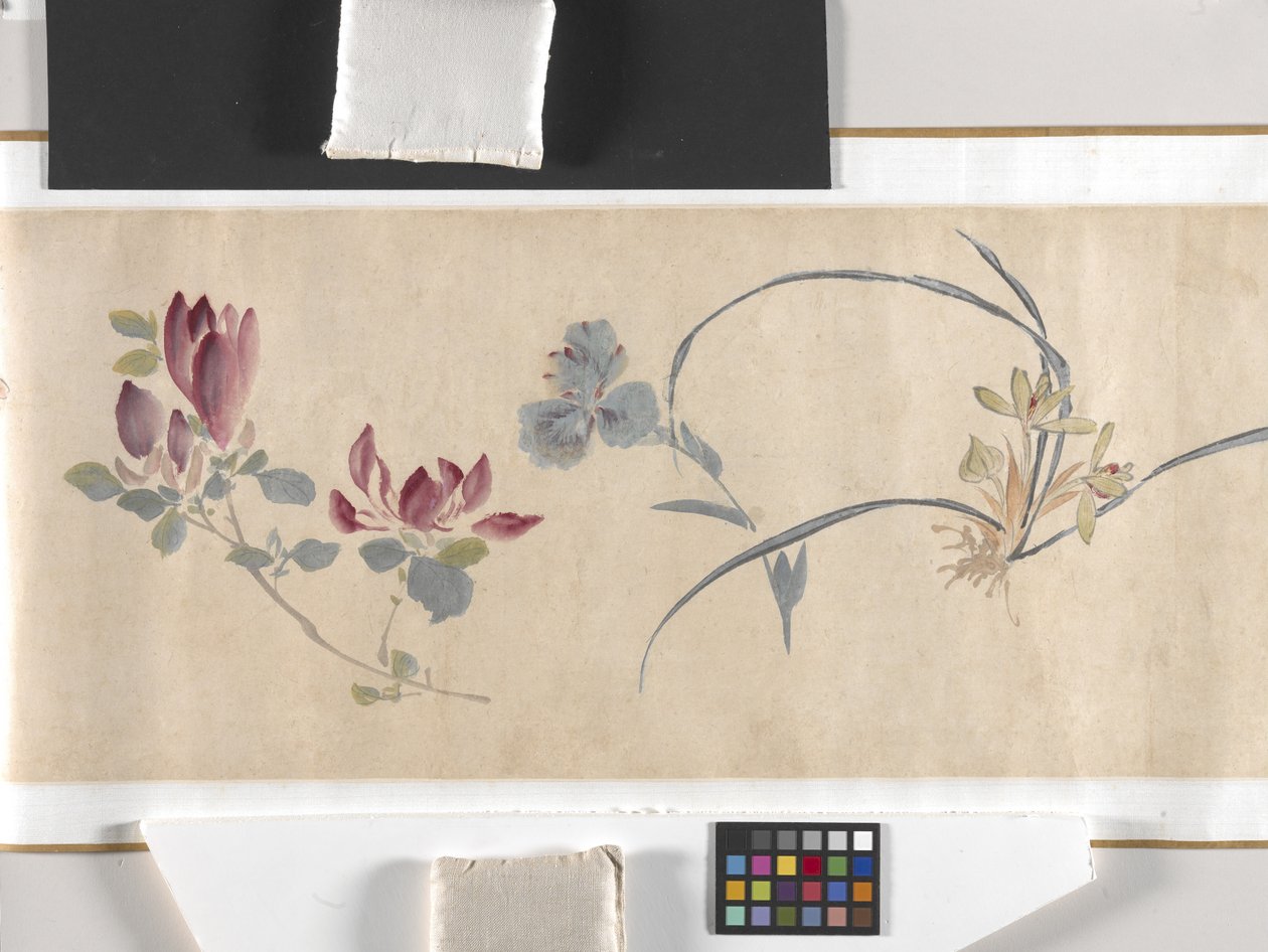 Farvede blomster af Zhimian Zhou