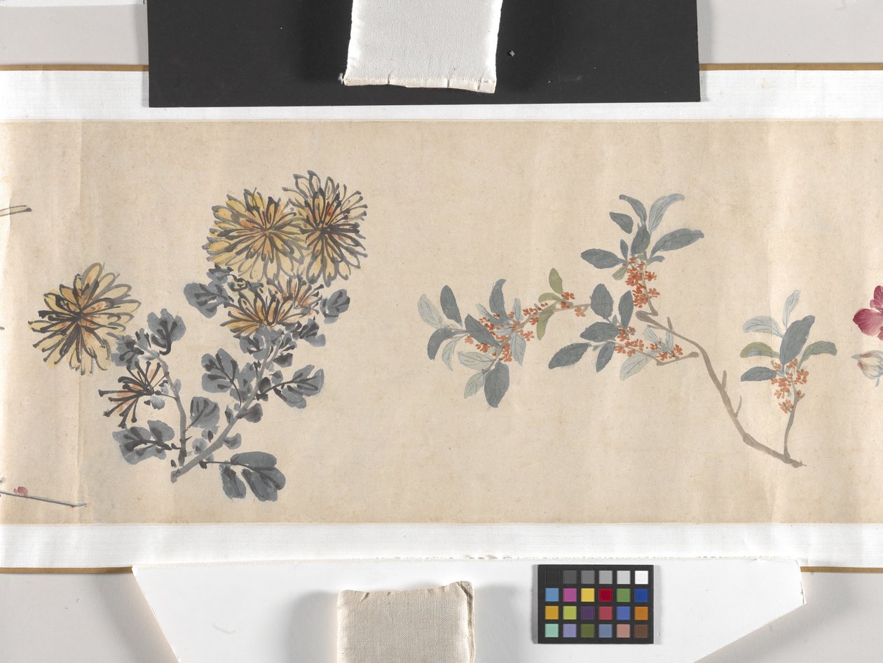 Farvede blomster af Zhimian Zhou