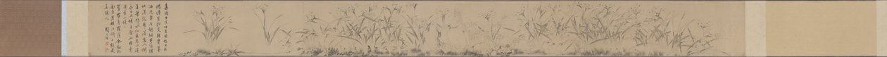 Narcissus rulle. af Zhou Tianqiu