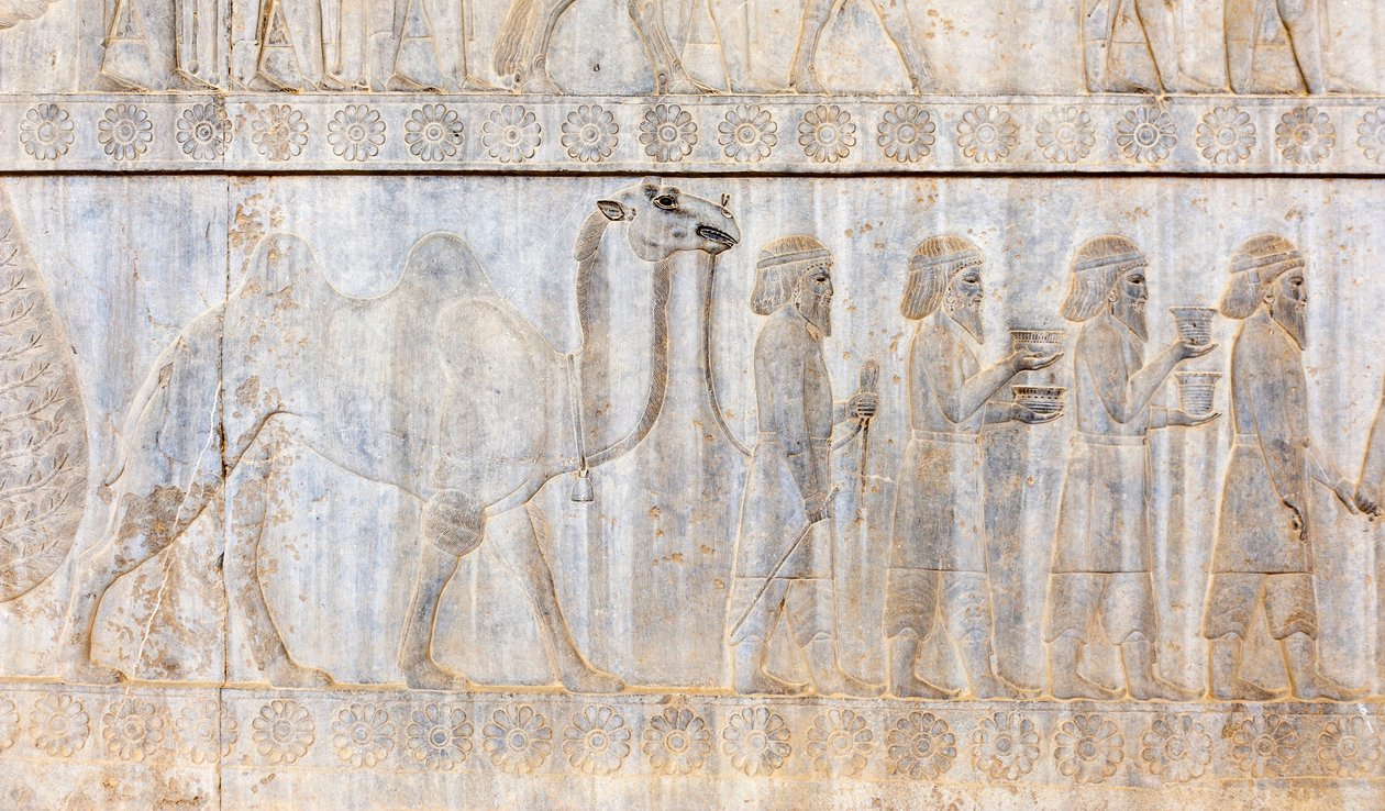 Gammelt relief af Achaemeniderne; delegation af partherne med kamel; Apadana Palace; arkæologisk sted; gamle persiske by Persepolis; UNESCOs verdensarvssted; Fars-provinsen; Iran; Asien af Frederick (attr. to) Barnard