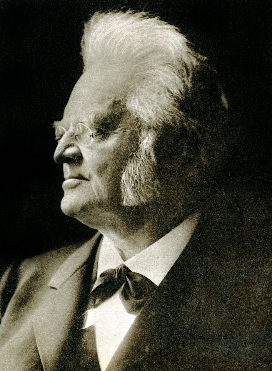 Bjornstjerne Bjornson (photogravure) af Hippolyte Lalaise Devéria
