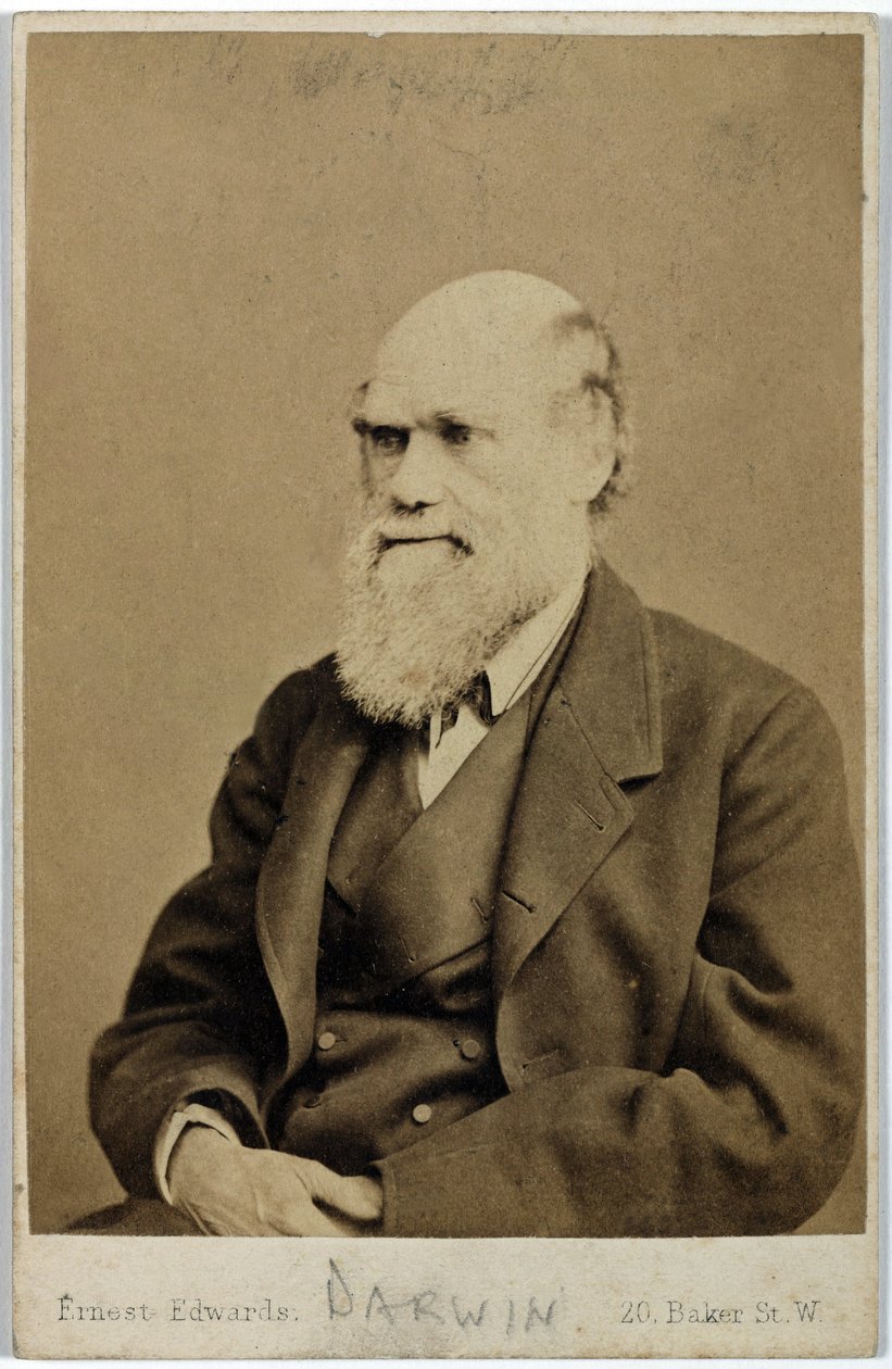 Charles Darwin, engelsk naturforsker, ca. 1870