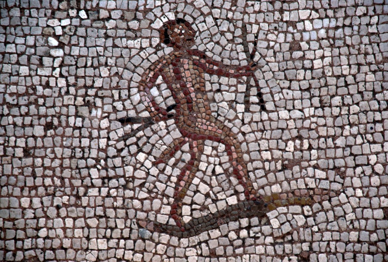 Danser, mosaik i den gamle havn i Kos, Kos-øen, Grækenland, romersk civilisation (foto) af Georg Carl Heinrich Dollmann