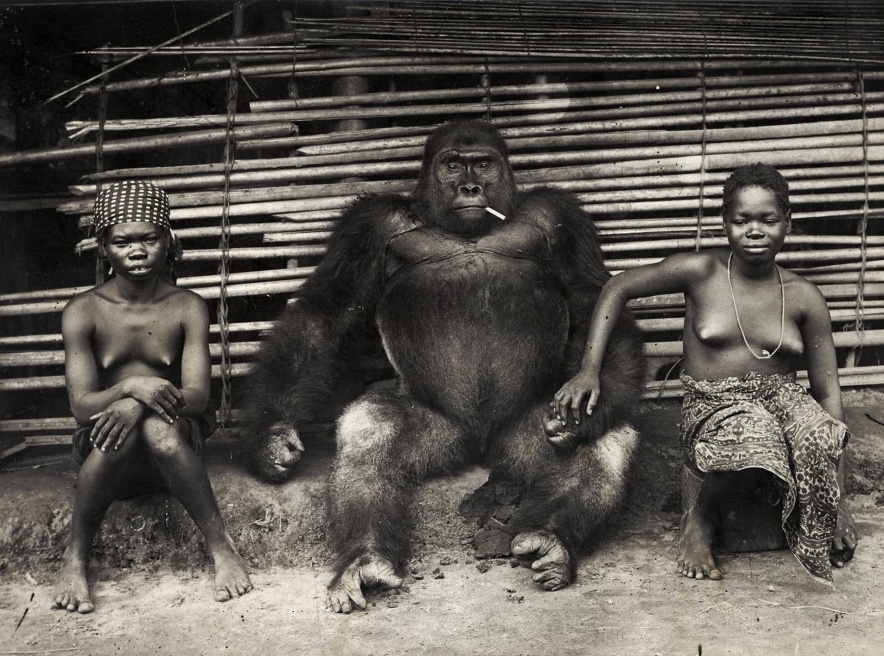 Gorilla (gelatine sølv print) af Hippolyte Lalaise Devéria