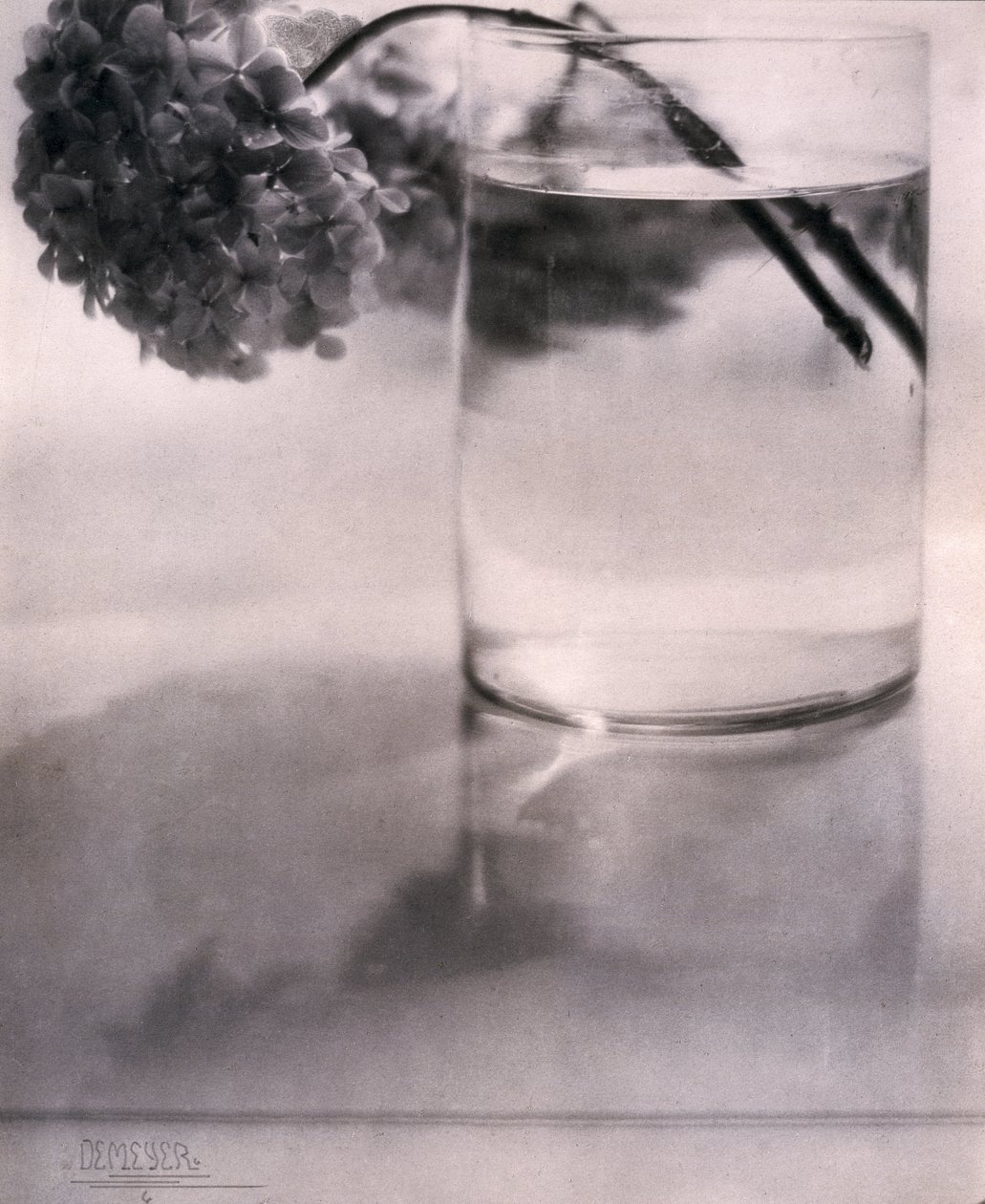 Hortensia, c 1907 af John Pardon