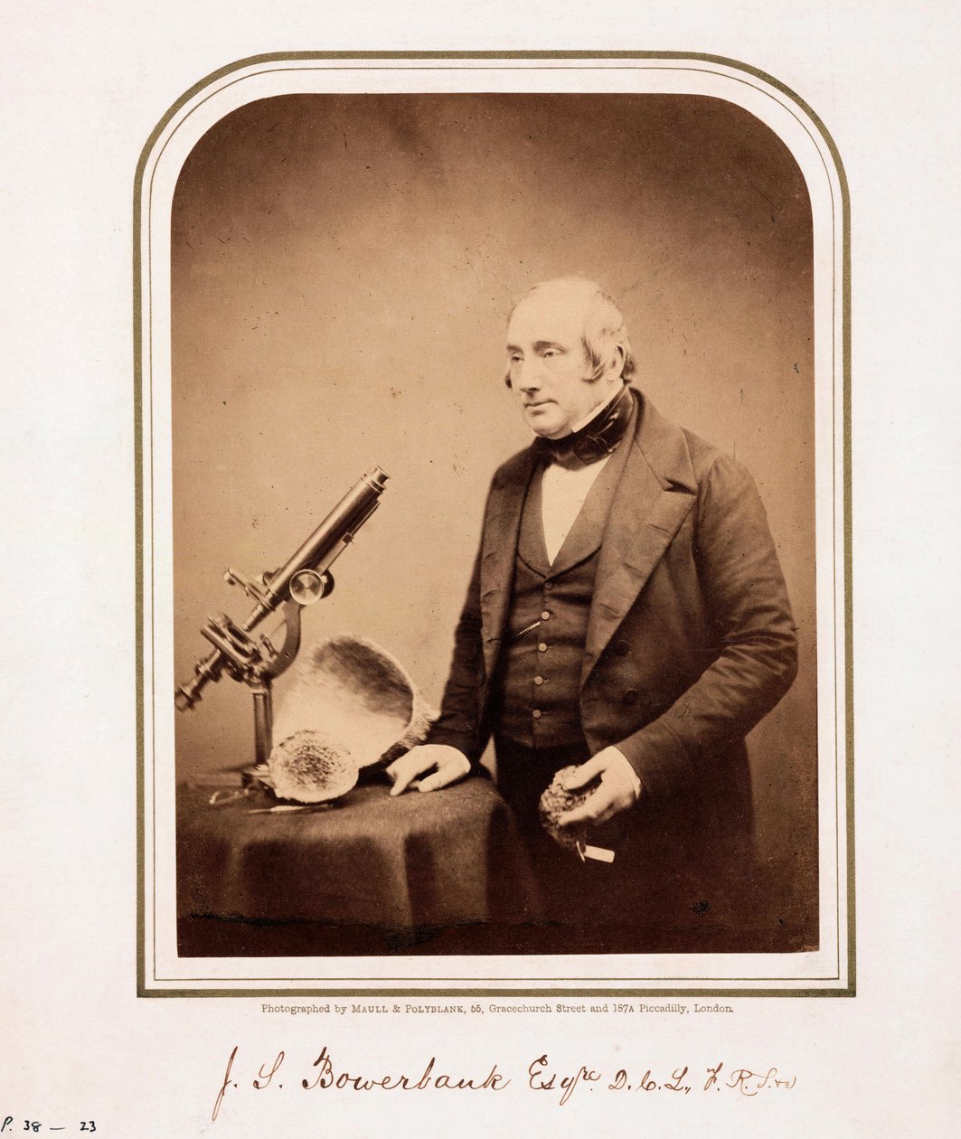 James Scott Bowerbank, britisk geolog af Ferdinand Georg Waldmuller