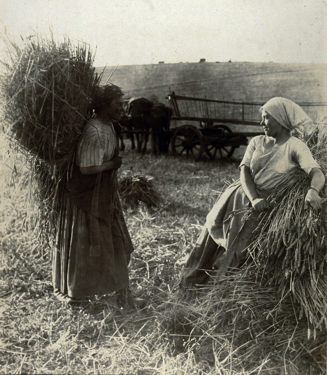 Høstmaskinerne, omkring 1900 af Frederick (attr. to) Barnard