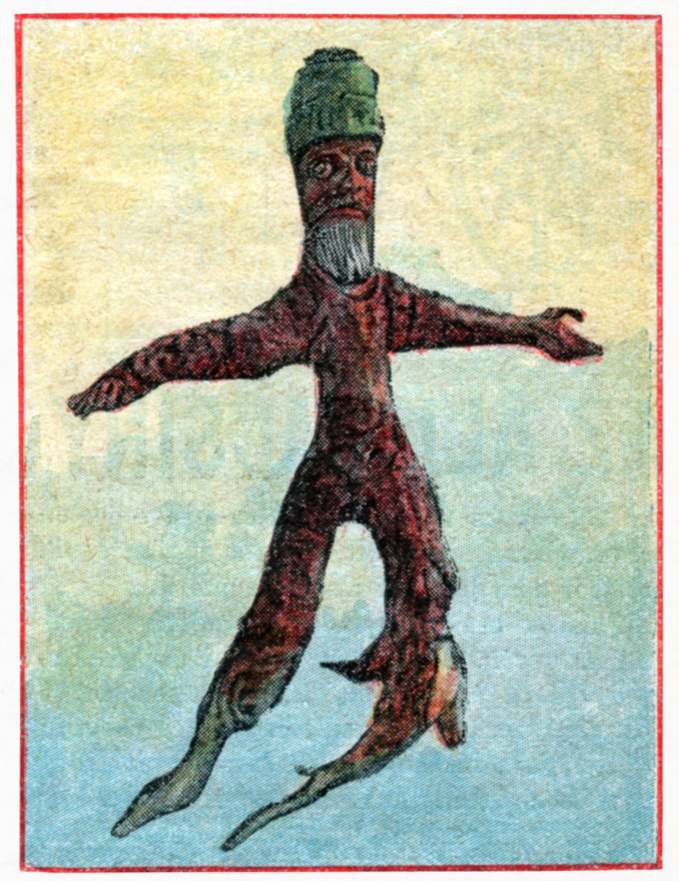 Mandragora af . .