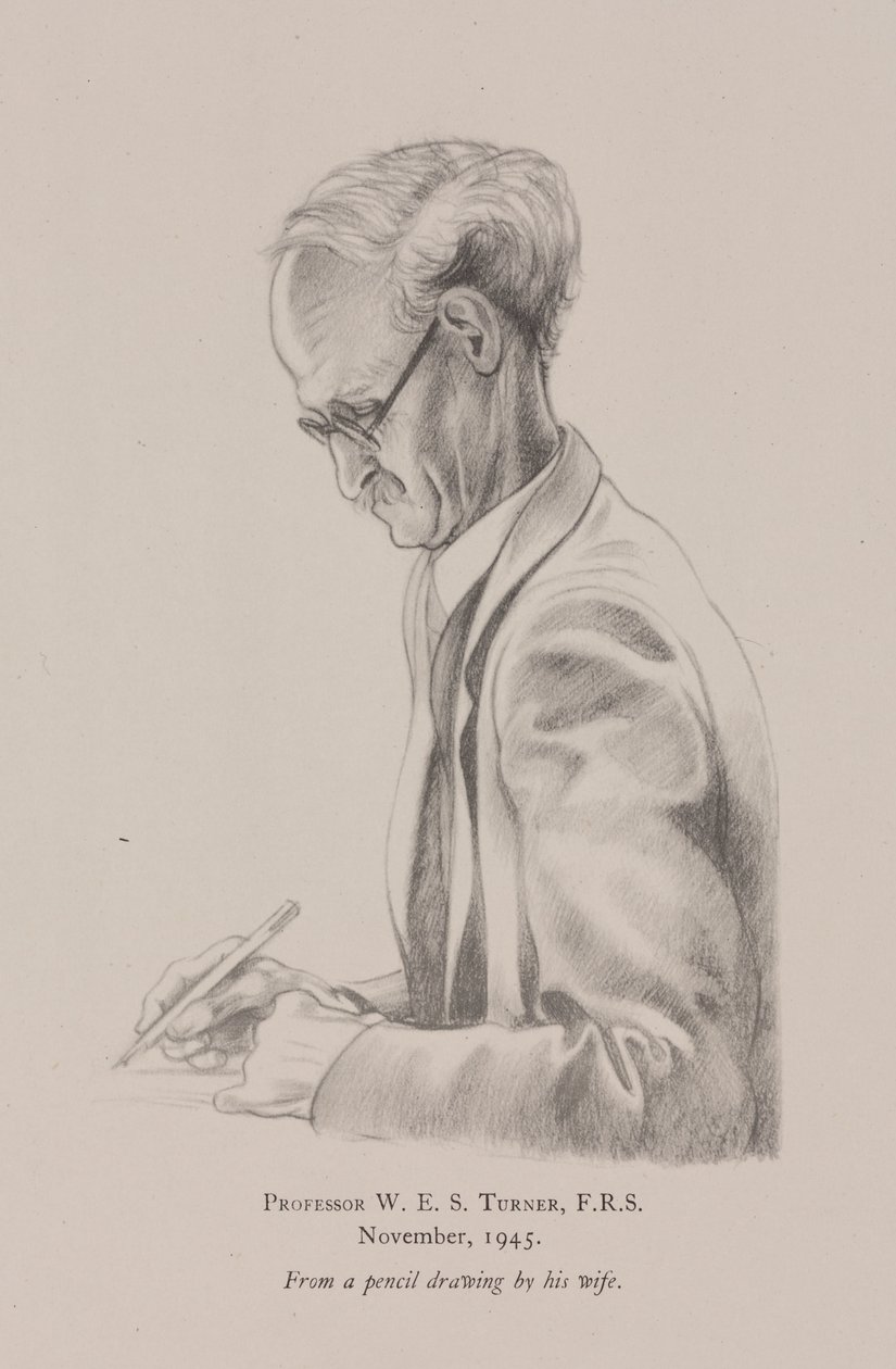 Professor W E S Turner, november af Frederick (attr. to) Barnard