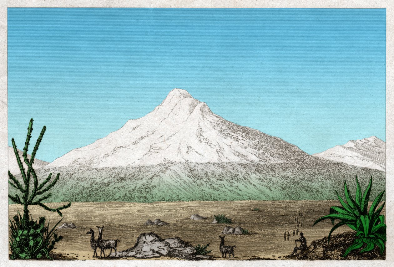 Chimborazo-vulkanen fra plateauet Tapia, Ecuador. omkring 1840 (gravering) af . .
