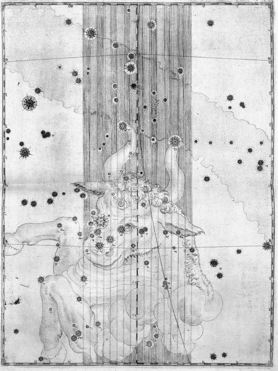 Stjernebilledet Tyren af Frederick (attr. to) Barnard