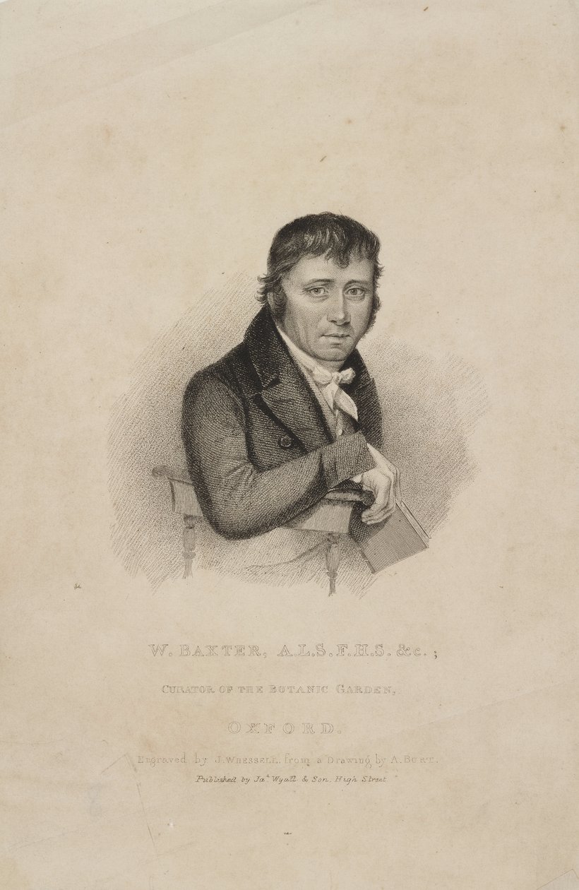 William Baxter, ALS FHS, britisk botaniker, ca. 1820