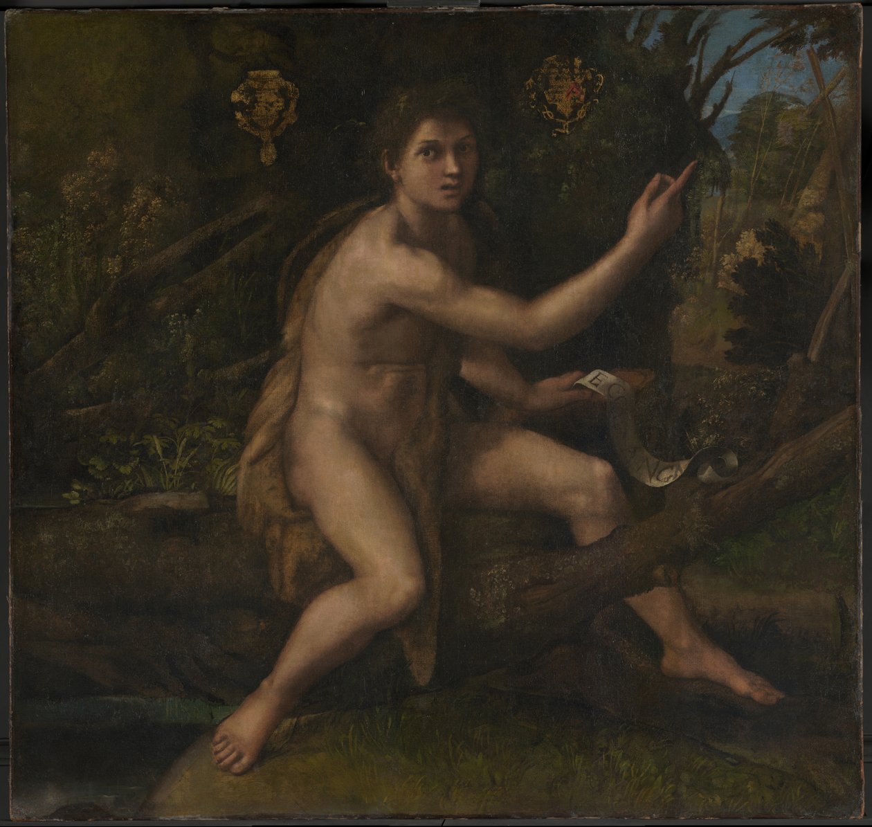 Sankt Johannes Døberen af Raphael