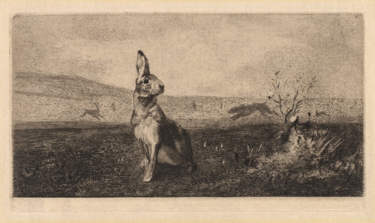 Haren af after Albert de Balleroy