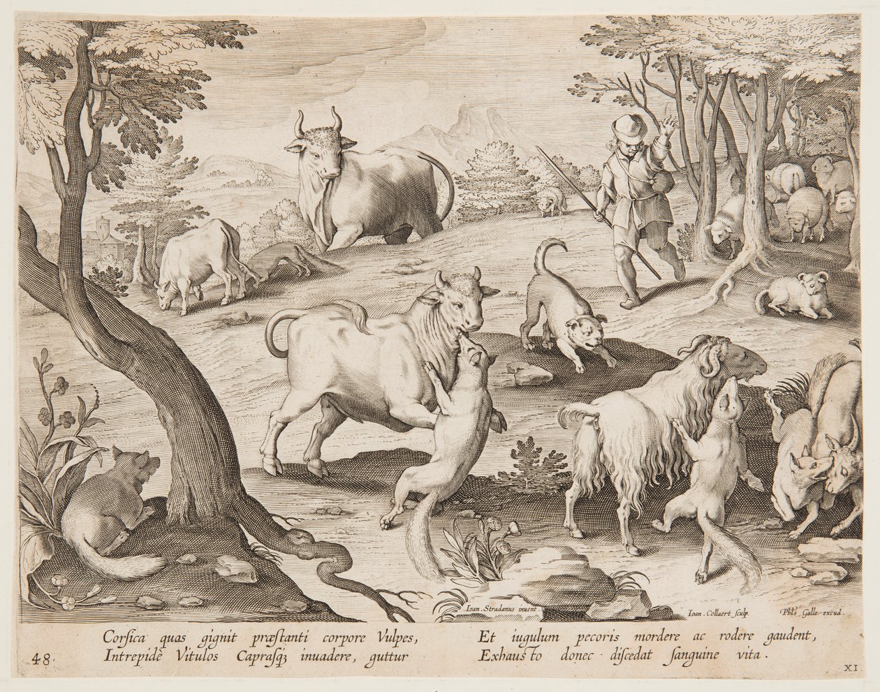 Tyre og geder angrebet af ræve af after Jan van der Straet, called Stradanus