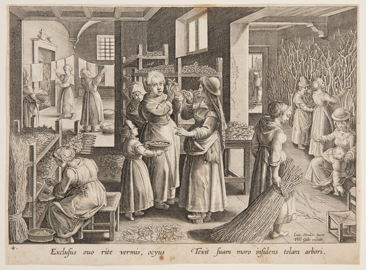 Fodring af morbærblade til silkeormene af after Jan van der Straet, called Stradanus