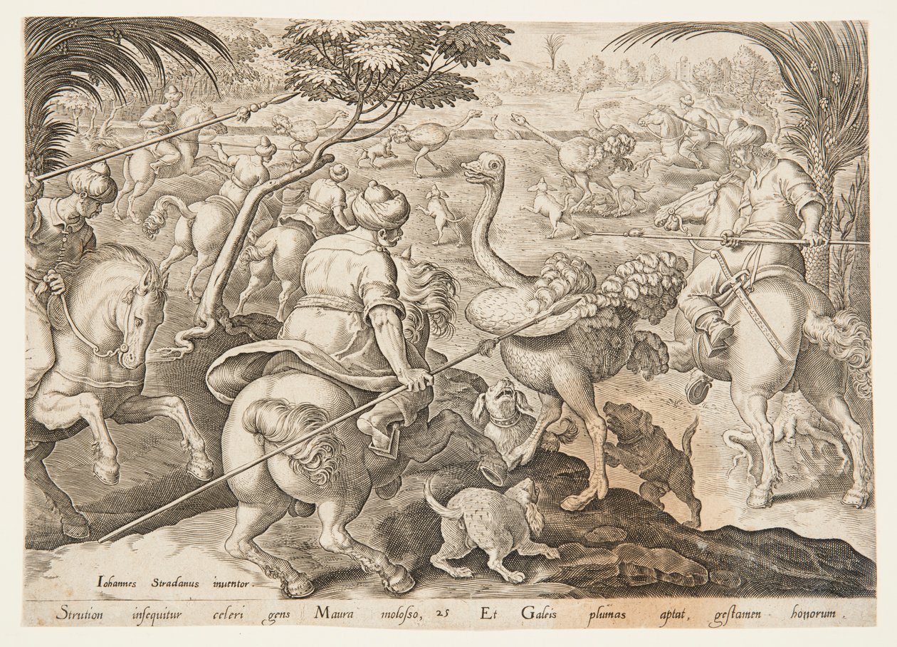 Strudsejagten af after Jan van der Straet, called Stradanus