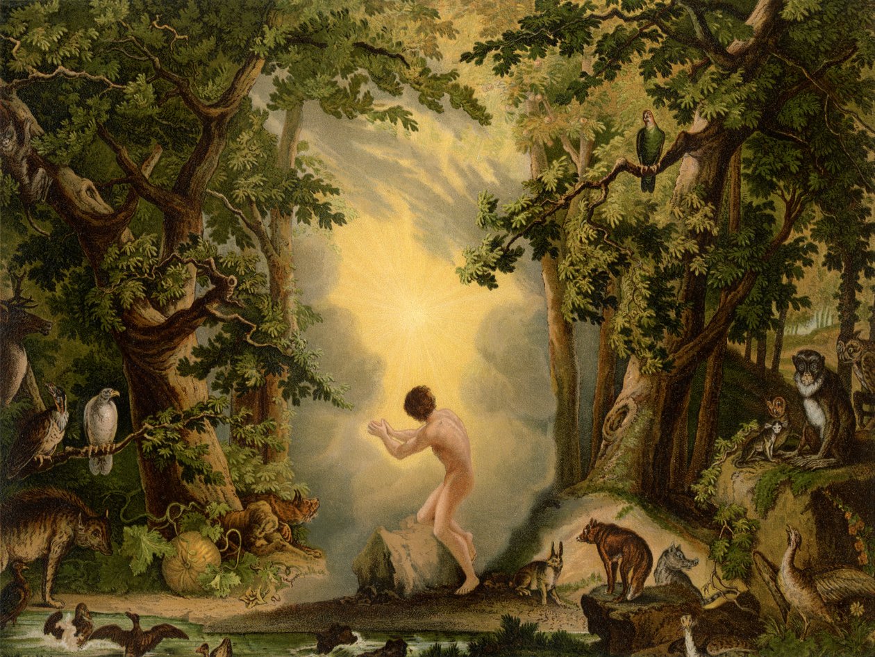 Adams skabelse af Johann Elias Ridinger or Riedinger