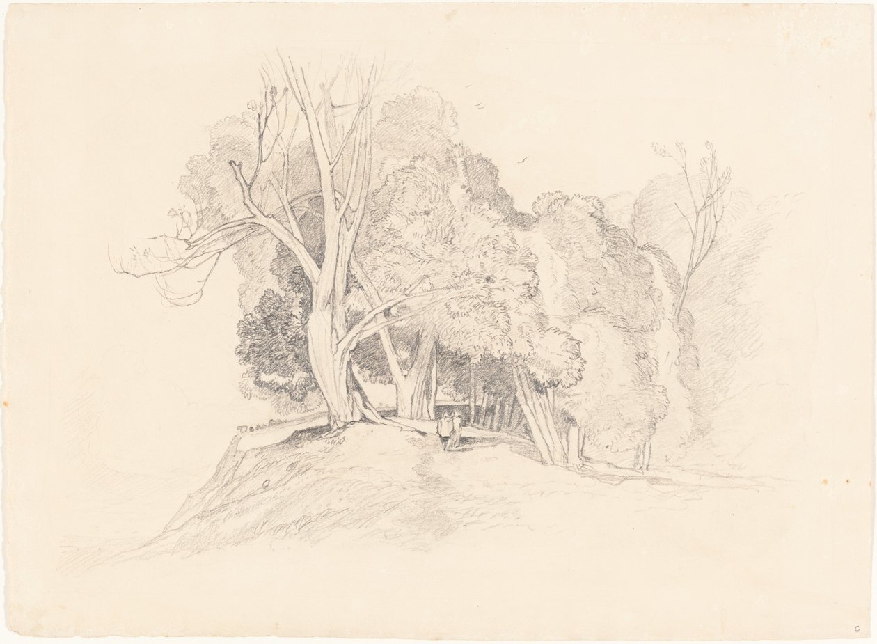 Landskab med træer af after John Sell Cotman British 19th Century