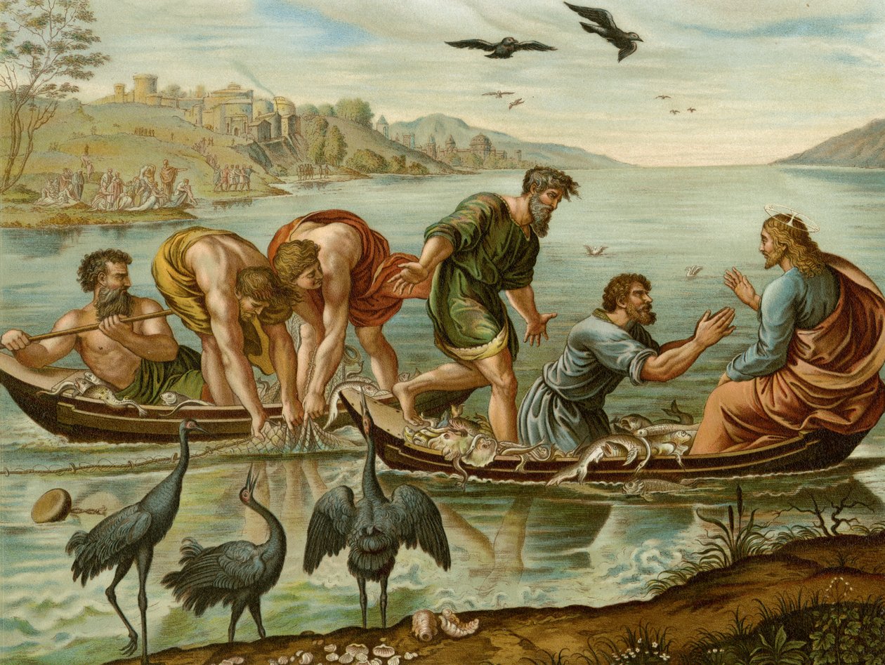 Det mirakuløse udkast af after Raphael