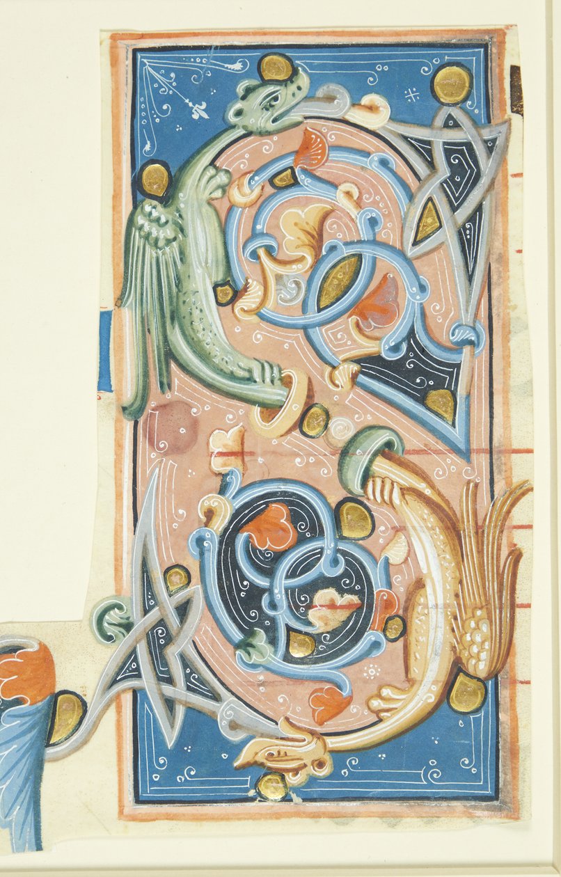 Ornamenteret initial S, hvis buer delvis består af to drager. af after Ubekendt