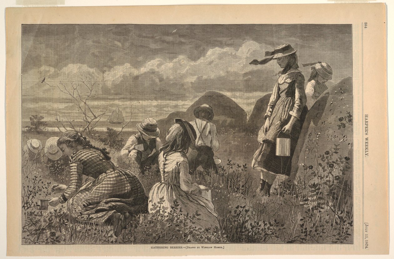 Indsamling af bær af after Winslow Homer