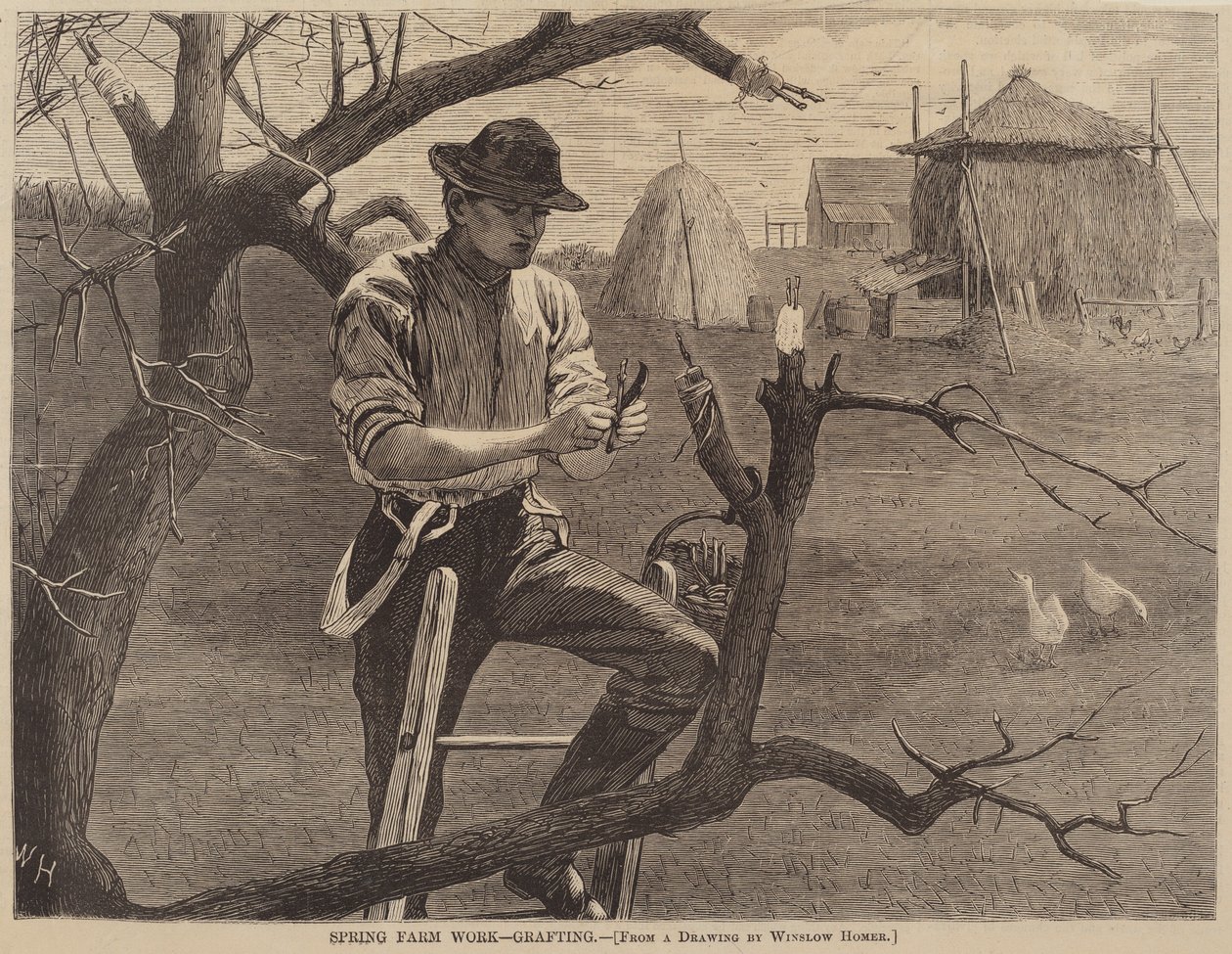 Spring Farm Arbejde - Podning af after Winslow Homer