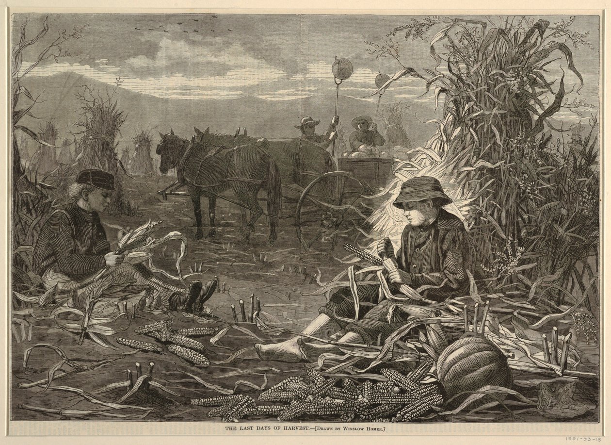 The Last Days of Harvest, fra Harper