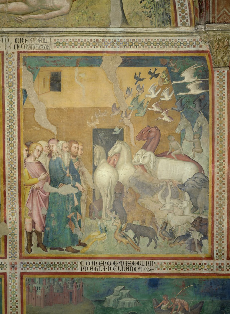 Noah Leading the Animals into the Ark, 1356-67 (se også 59303) af also Manfredi de Battilori Bartolo di Fredi