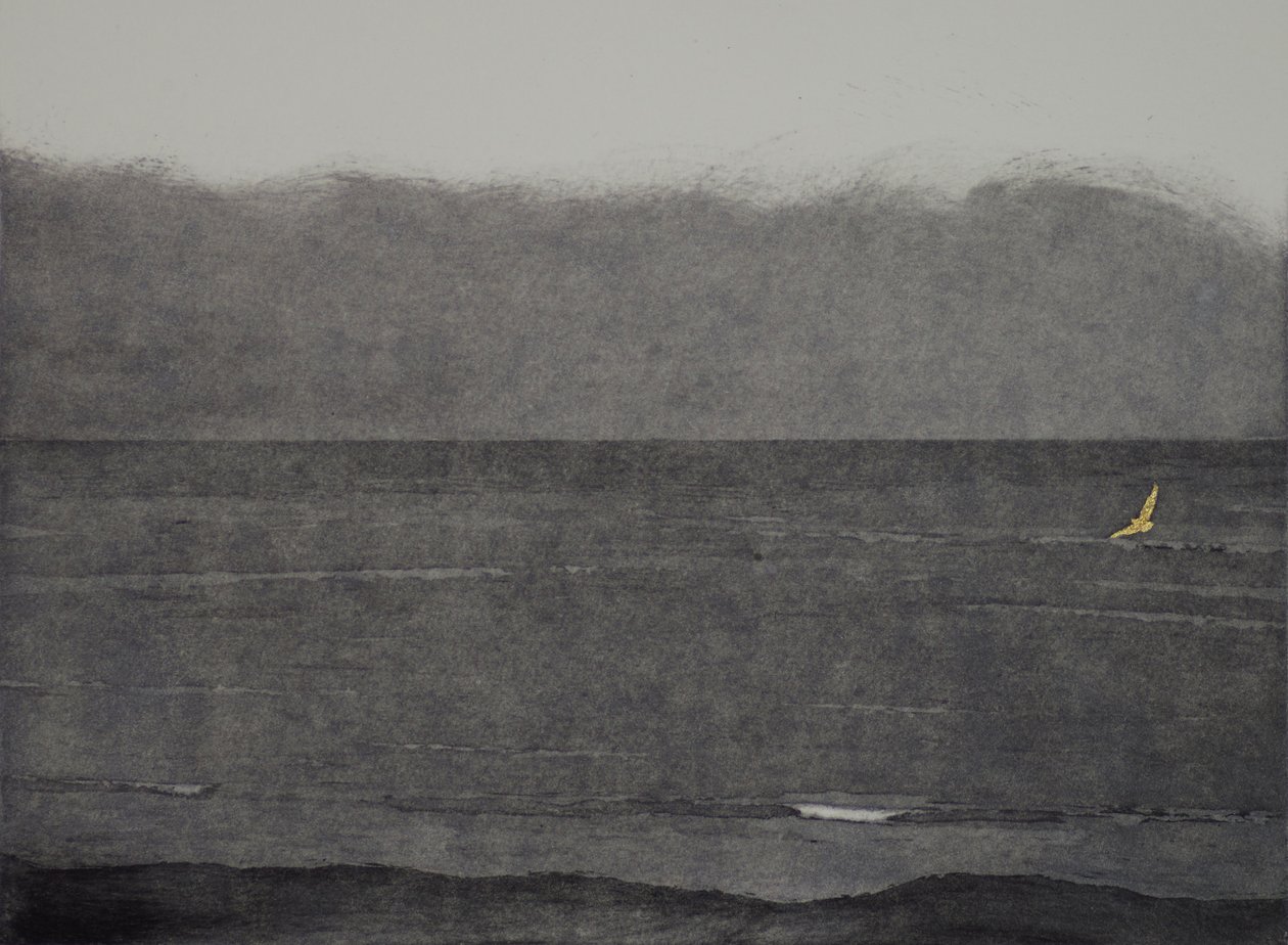 Silent flight, 2017, ætsning, akvatinte og håndfarvning på papir af angus hampel