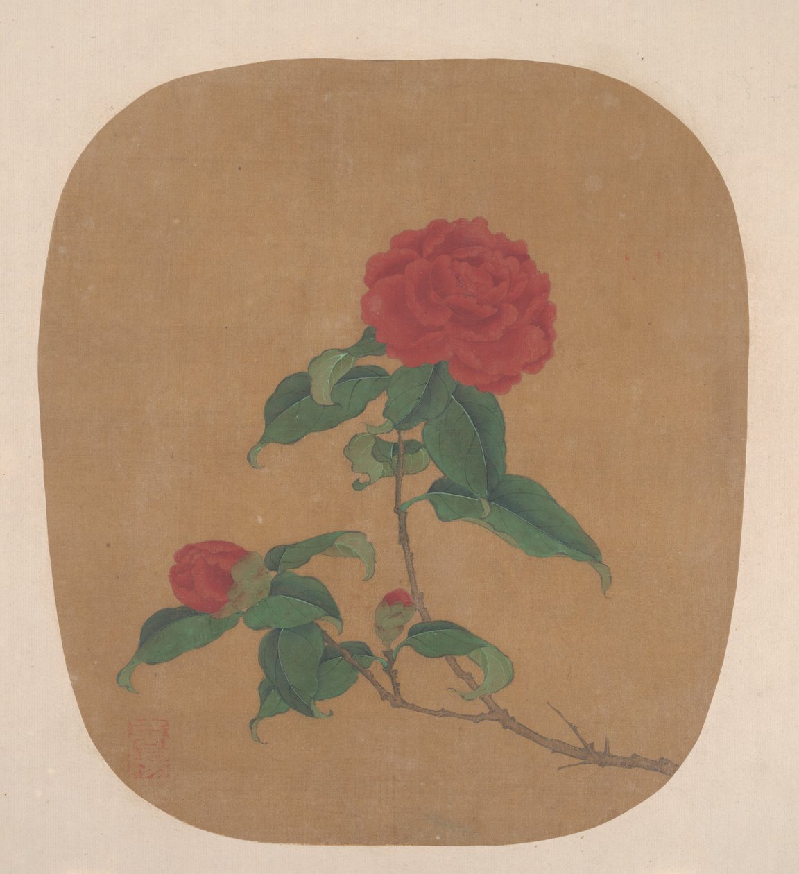 Kamelia-blomster af anonymous 