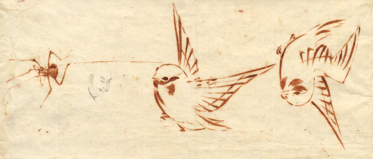 Skitseside med fugle og edderkop af attributed to Katsushika Hokusai