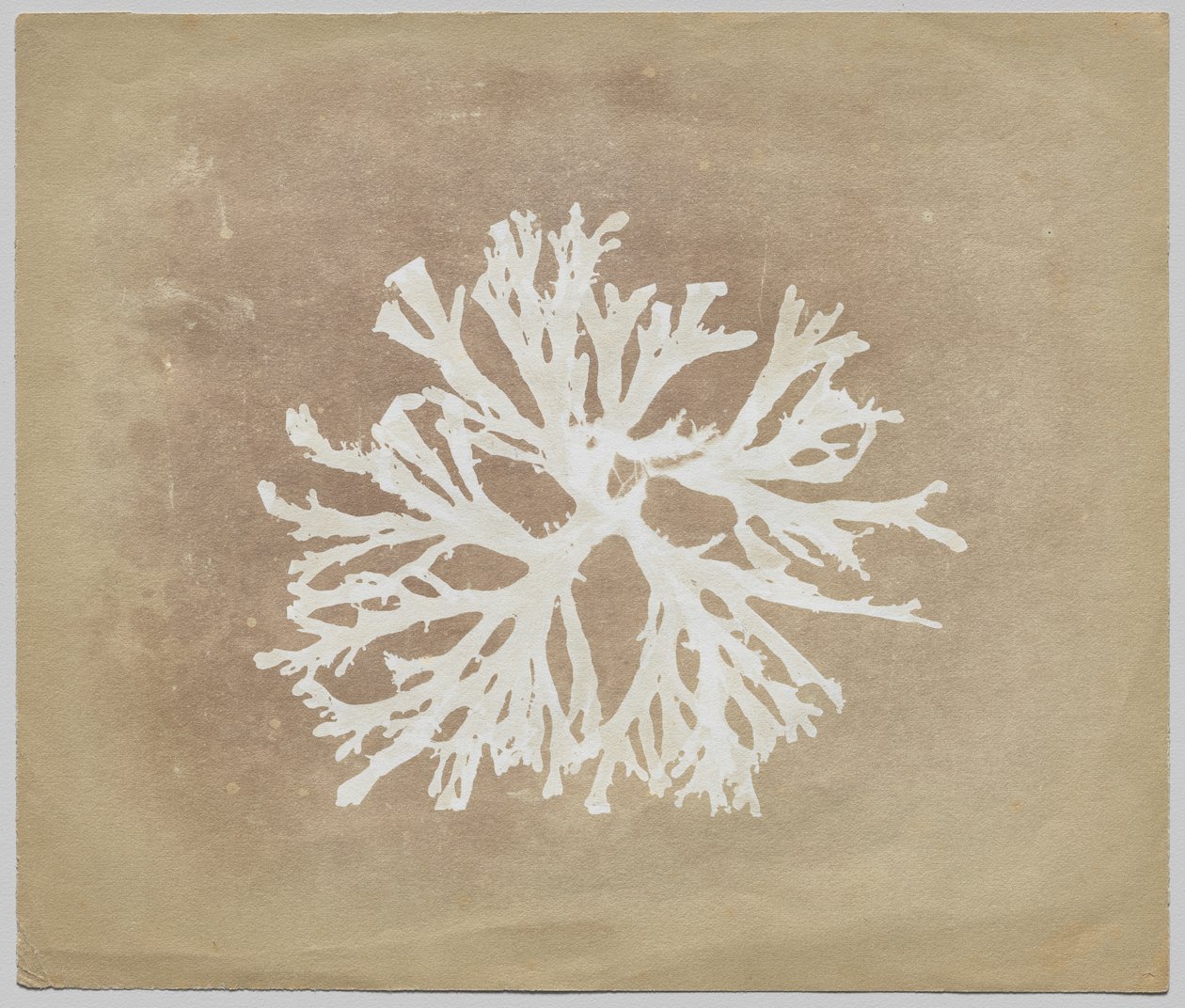 Alger af circle of William Henry Fox Talbot