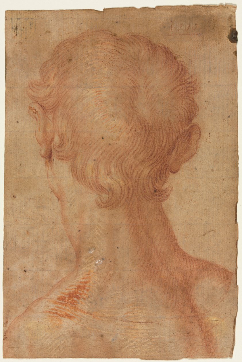 Mandens hoved bagfra af copy after Agnolo Bronzino