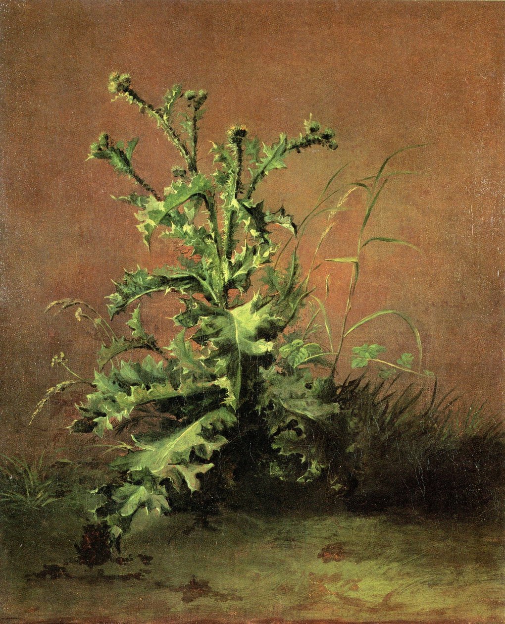 Chardons af Édouard Manet