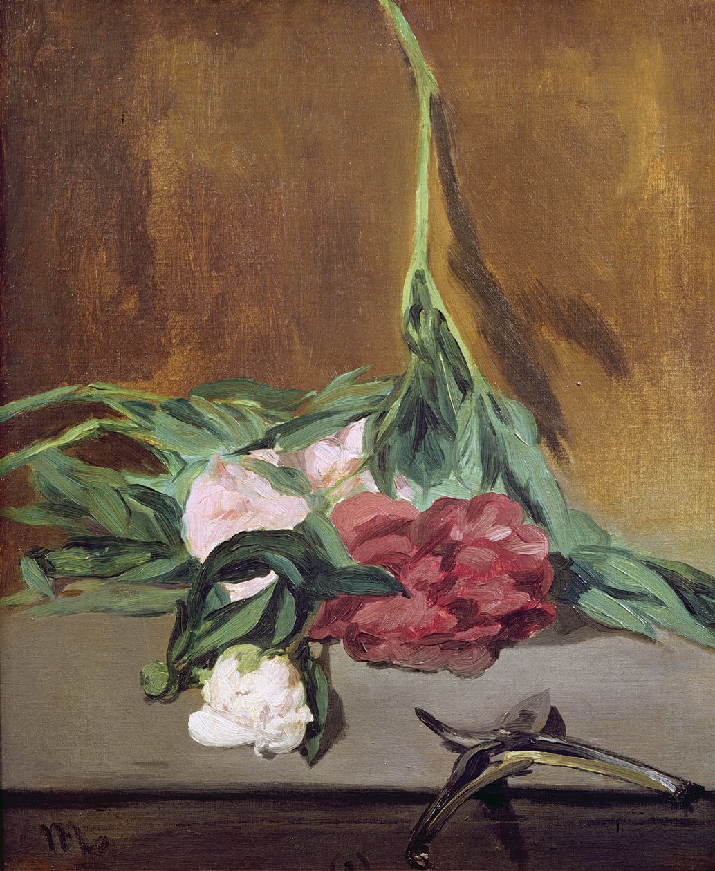 Stængel af pæoner og sekatører, c.1864 af Édouard Manet