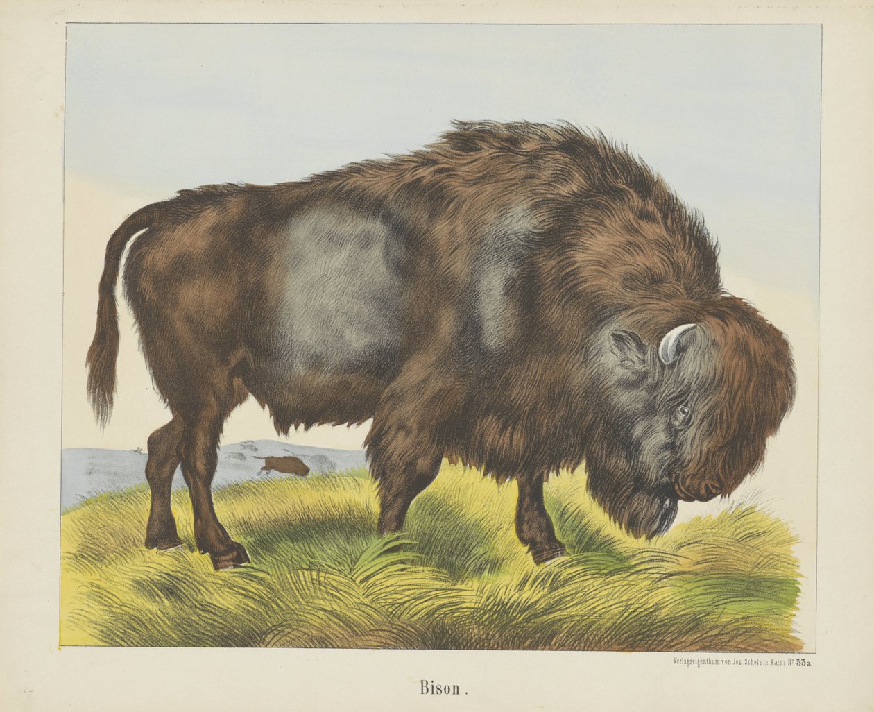 Bison (titel på objekt) af firma Joseph Scholz