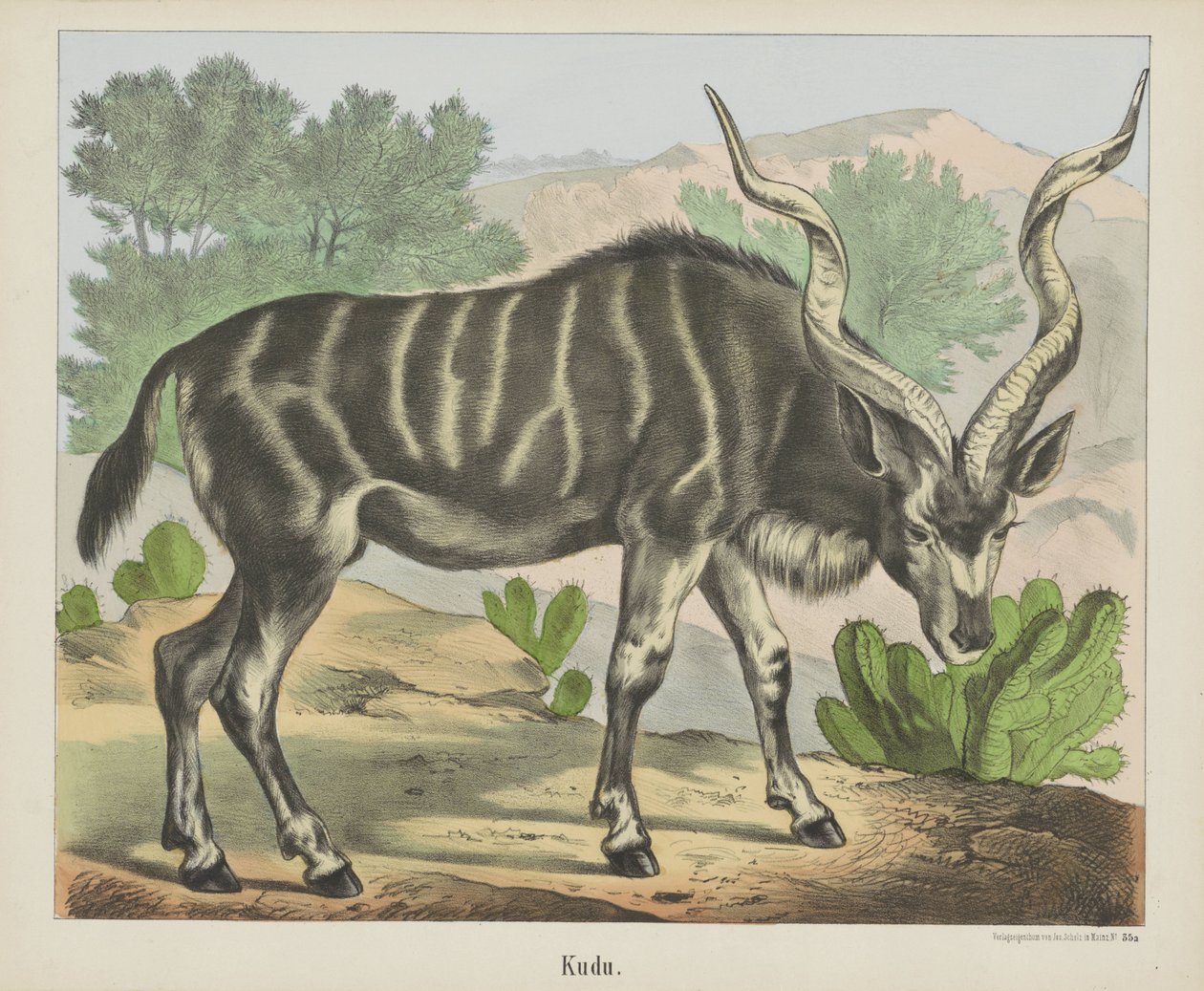Kudu (titel på objekt) af firma Joseph Scholz