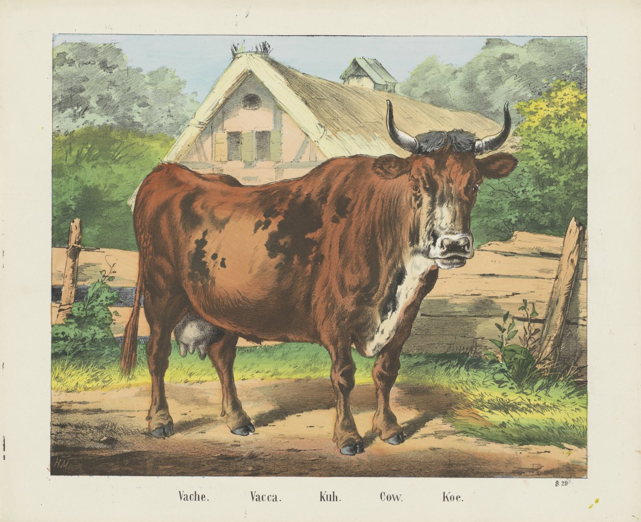 Vache. / Vacca. / Kuh. / Ko. / Koe (titel på objekt) af firma Joseph Scholz