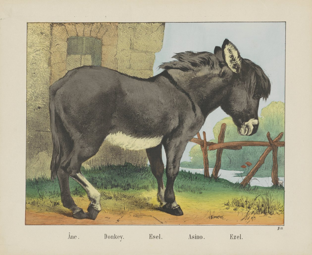 Âne. / Æsel. / Esel. / Asino. / Ezel (titel på objekt) af firma Joseph Scholz