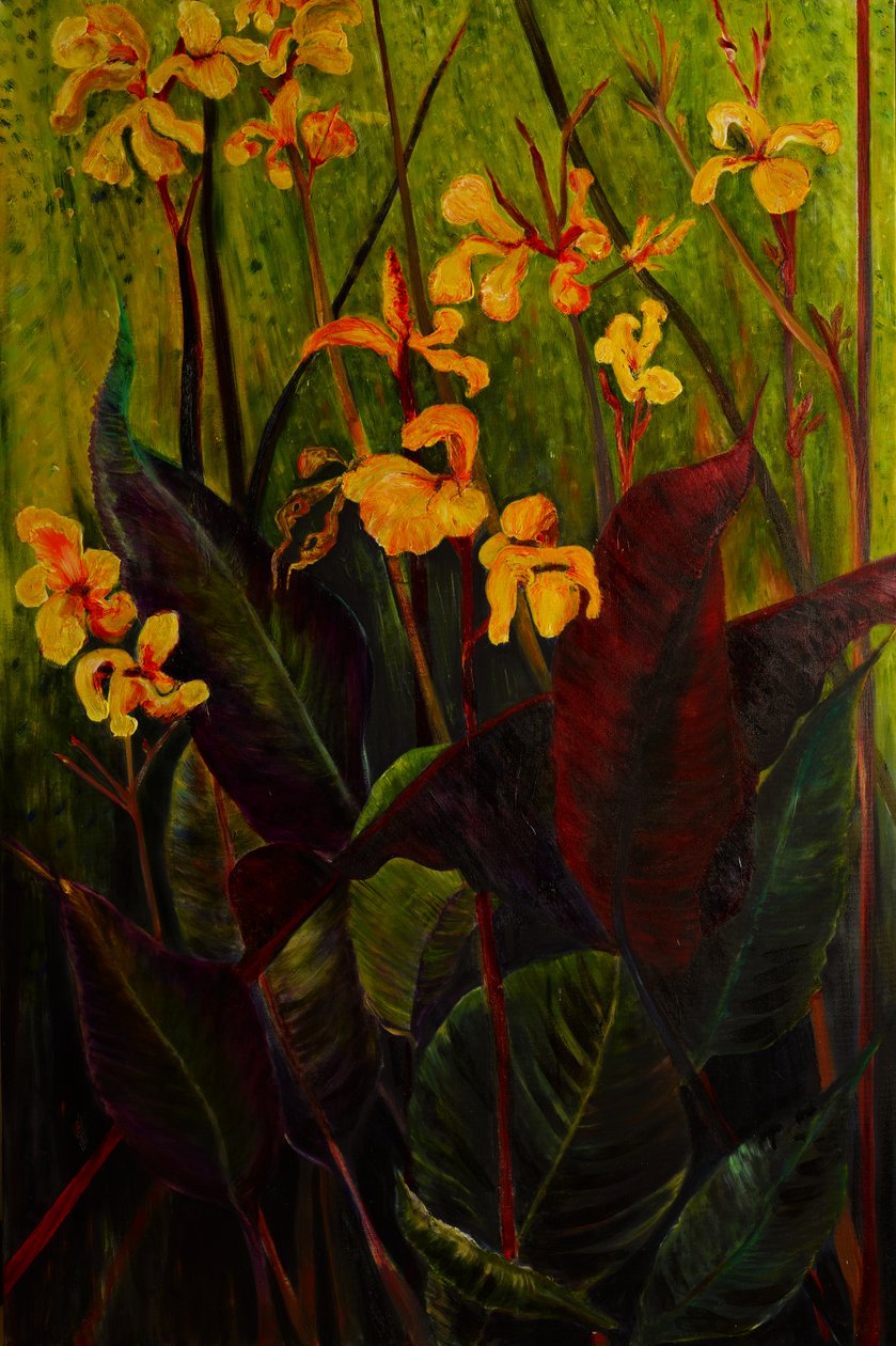 Canna Lily, 2017 (olie på lærred) af jocasta shakespeare