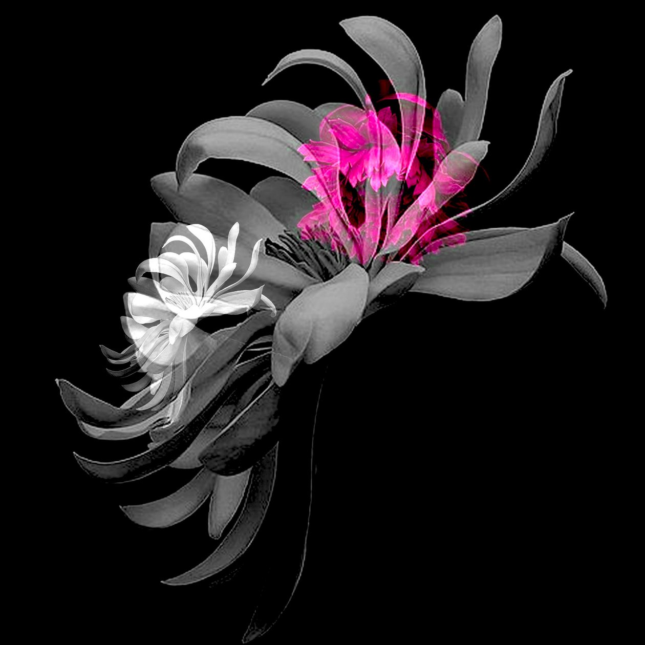 SPRING FLOWER COLLAGE, 2018 (blandede medier) af linda arthurs