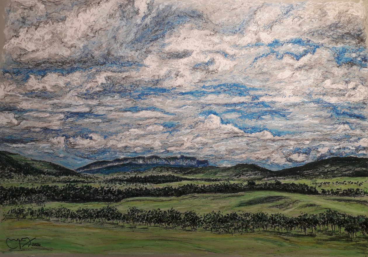 GRAN SABANA VENEZUELA af miguelmendez_art.ve