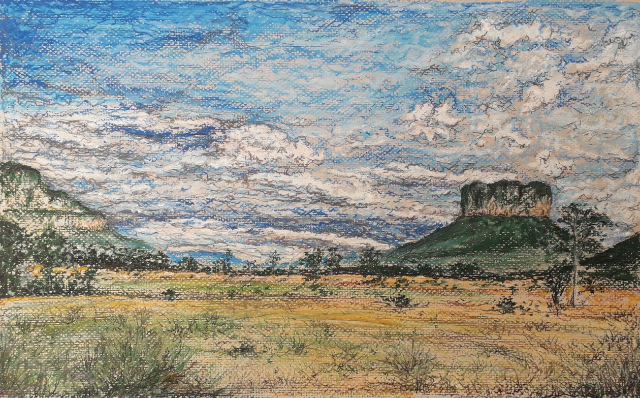 GRAN SABANA VENEZUELA af miguelmendez_art.ve