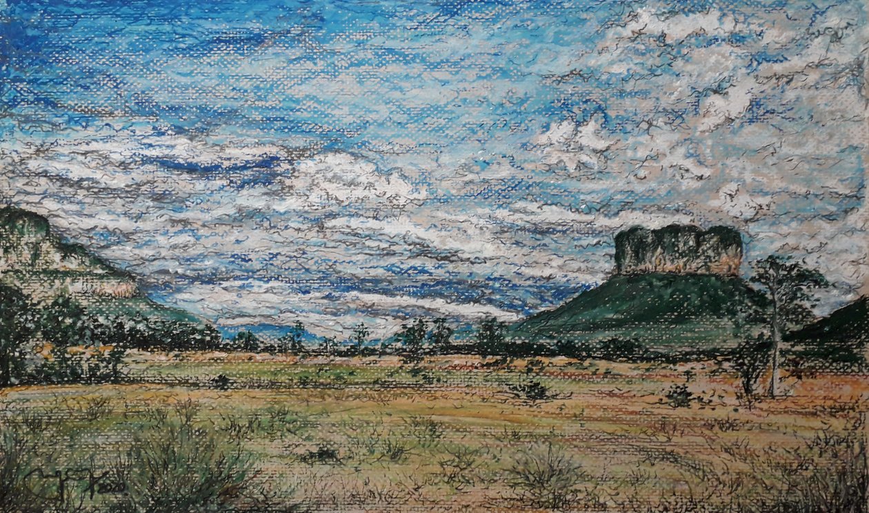 GRAN SABANA VENEZUELA af miguelmendez_art.ve